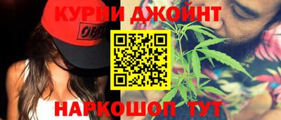 шишки Кандалакша