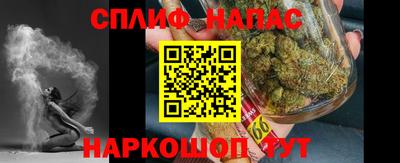 шишки Кандалакша
