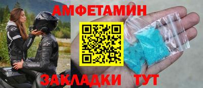 шишки Кандалакша