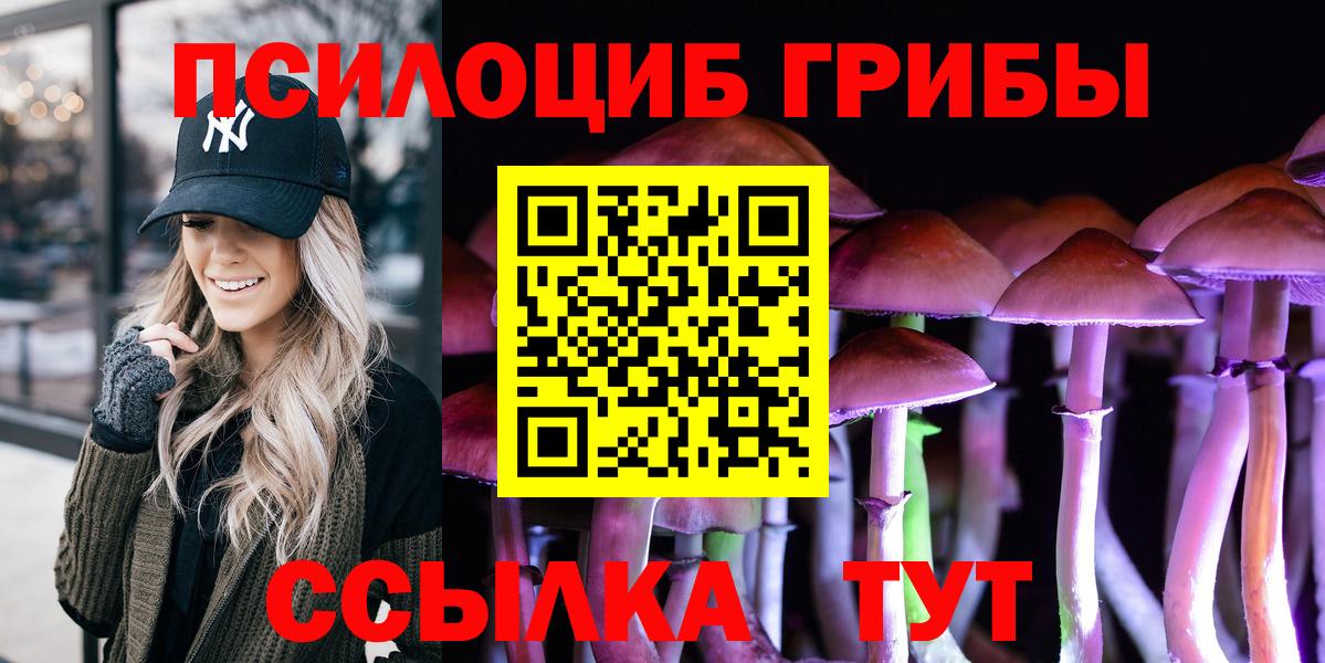 Старая Русса  Галлюциногенные грибы Psilocybe  Вход с VPN 